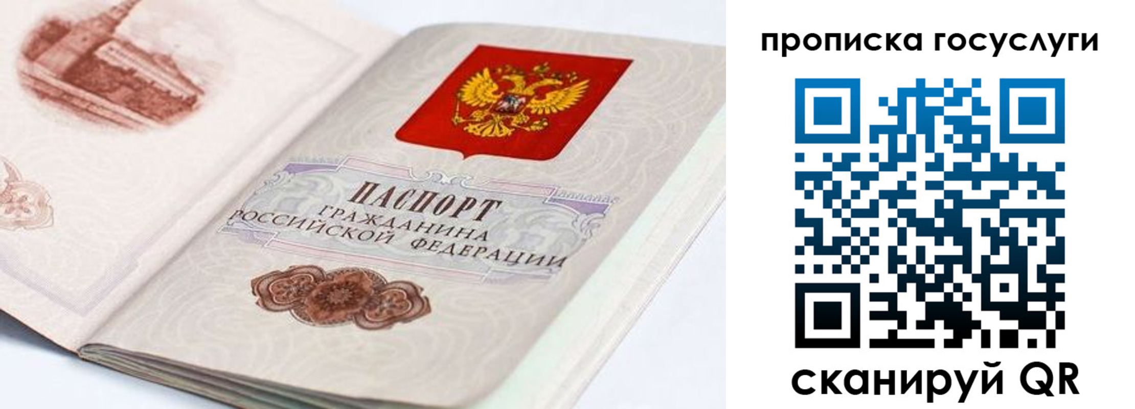 прописка гарантия в Ельце